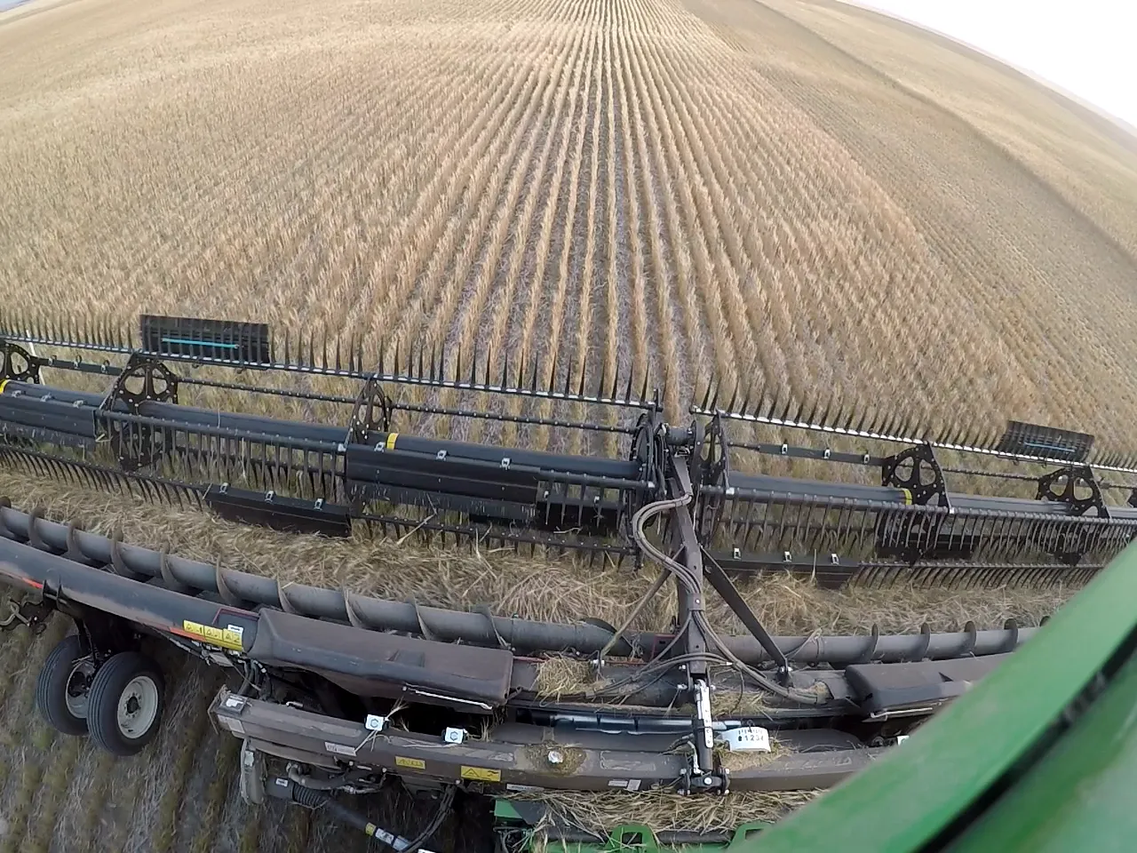 vlcsnap-2021-08-17-11h00m32s267 4 x 3